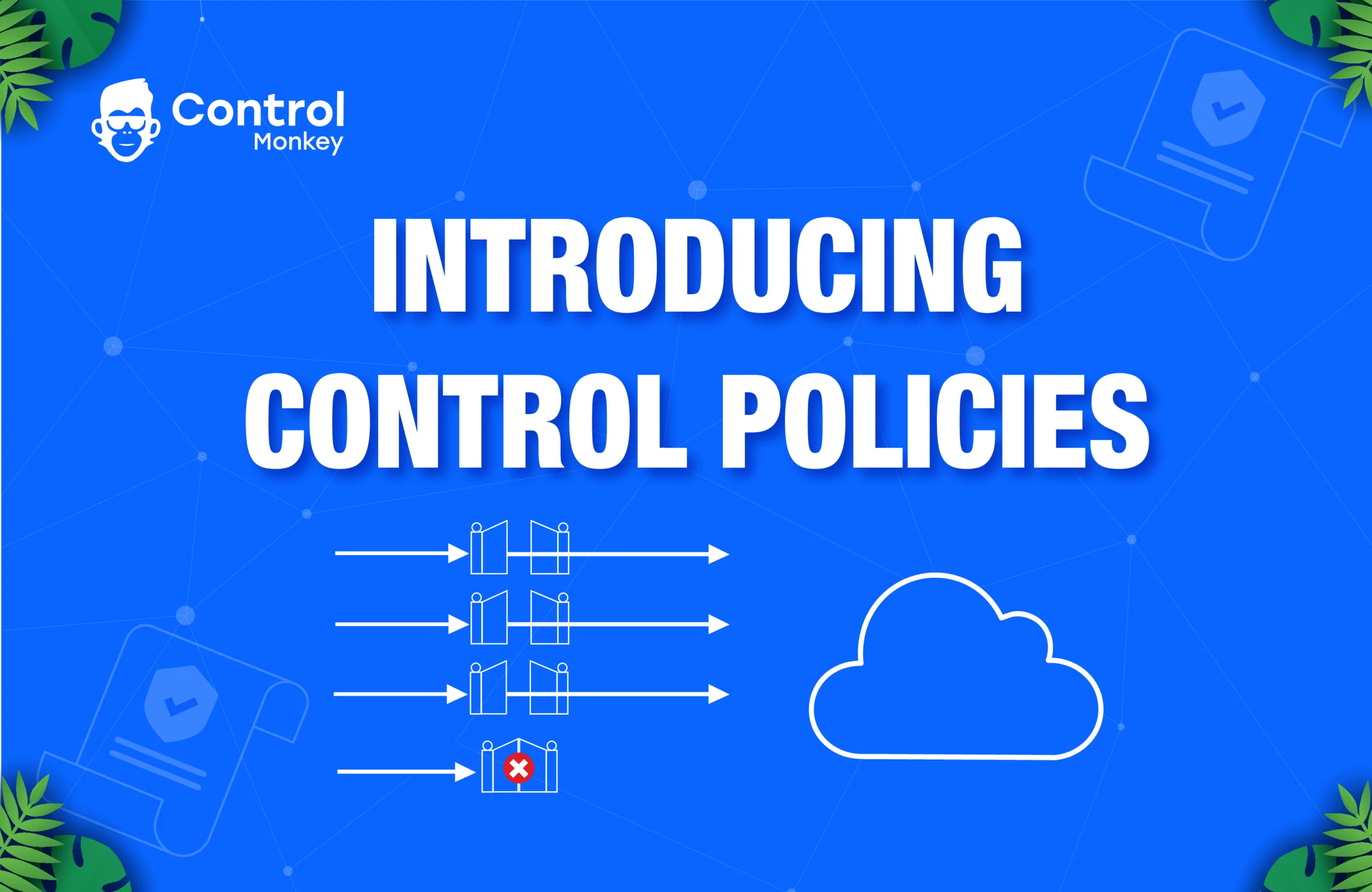 Introducing control policies