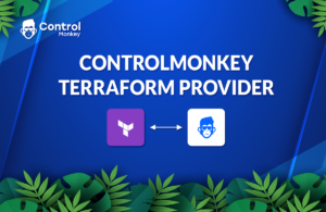 ControlMonkey Terraform Provider