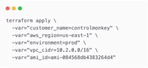 Terminal command showing a multi-line terraform apply with inline variable definitions for customer name, AWS region, environment, VPC CIDR block, and AMI ID.