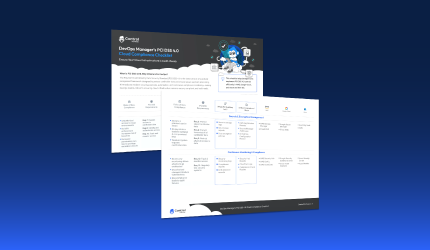 Devops Manager PCI DSS 4.0 Checklist