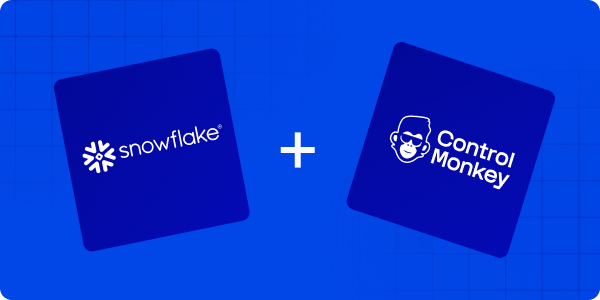 Snowflake Disaster Recovery