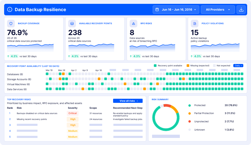 Data Backup Resilience View
